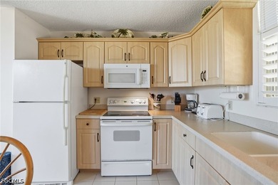 Welcome to your slice of Southwest Florida paradise at 5500 - photo 22