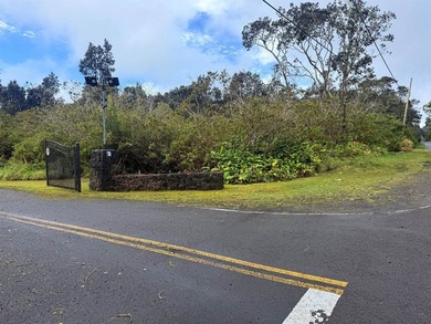 This breathtaking half-acre corner lot is untouched and ready - photo 1