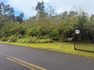 This breathtaking half-acre corner lot is untouched and ready - photo 2