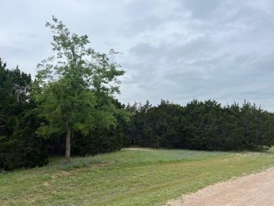 Lake Lot For Sale in Whitney, Texas