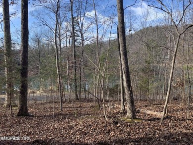 Lake Lot Sale Pending in Madisonville, Tennessee