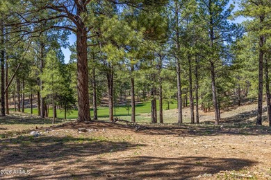 3655 S Woodland Hills DR lot #366, Flagstaff, AZ 86005. Gorgeous - photo 11