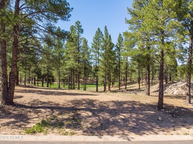 3655 S Woodland Hills DR lot #366, Flagstaff, AZ 86005. Gorgeous - photo 12