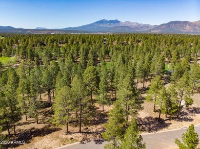 3655 S Woodland Hills DR lot #366, Flagstaff, AZ 86005. Gorgeous - photo 13