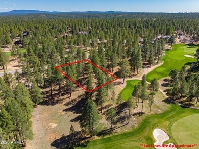 3655 S Woodland Hills DR lot #366, Flagstaff, AZ 86005. Gorgeous - photo 15
