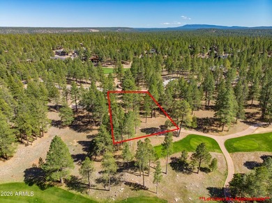 3655 S Woodland Hills DR lot #366, Flagstaff, AZ 86005. Gorgeous - photo 16