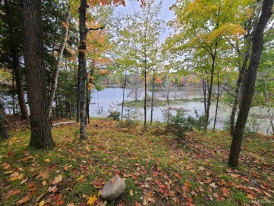 Lake Lot For Sale in Fence T-WI, Wisconsin