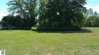 Lake Shamrock Lot For Sale in Clare Michigan