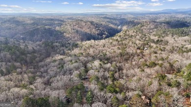 Build your mountain retreat in the desirable Coosawattee River - photo 11