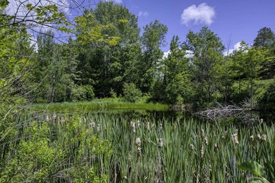 Sale includes two parcels of land totaling 35 acres. HA-385 is - photo 11