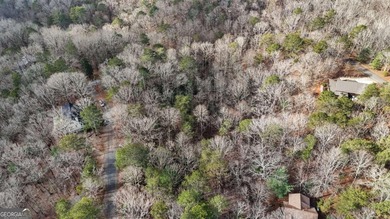 Build your mountain retreat in the desirable Coosawattee River - photo 12