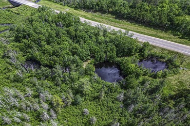 Sale includes two parcels of land totaling 35 acres. HA-385 is - photo 12