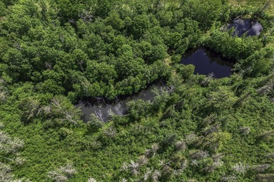 Sale includes two parcels of land totaling 35 acres. HA-385 is - photo 13