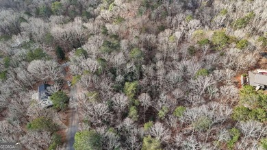 Build your mountain retreat in the desirable Coosawattee River - photo 14