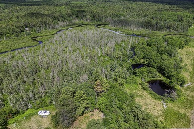 Sale includes two parcels of land totaling 35 acres. HA-385 is - photo 14