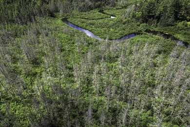 Sale includes two parcels of land totaling 35 acres. HA-385 is - photo 15