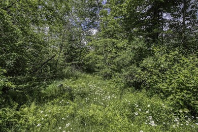 Sale includes two parcels of land totaling 35 acres. HA-385 is - photo 16