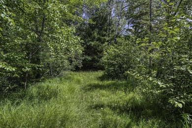 Sale includes two parcels of land totaling 35 acres. HA-385 is - photo 17