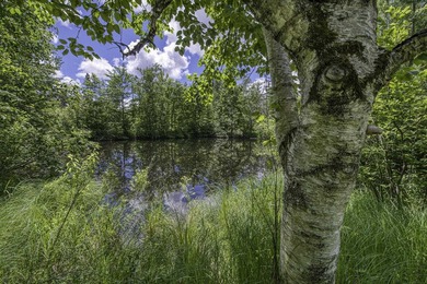Sale includes two parcels of land totaling 35 acres. HA-385 is - photo 18