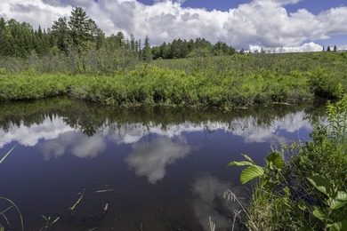 Sale includes two parcels of land totaling 35 acres. HA-385 is - photo 19