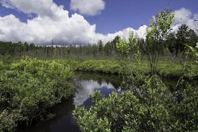 Sale includes two parcels of land totaling 35 acres. HA-385 is - photo 20