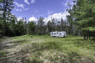 Sale includes two parcels of land totaling 35 acres. HA-385 is - photo 23