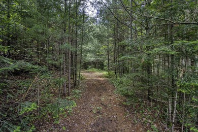 Sale includes two parcels of land totaling 35 acres. HA-385 is - photo 24