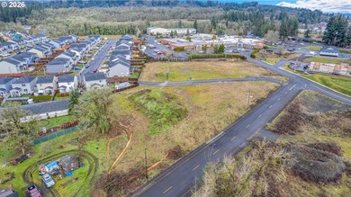 2.4 Acres of Highway Commercial Property - Prime Development - photo 24