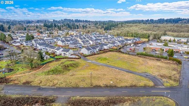 2.4 Acres of Highway Commercial Property - Prime Development - photo 25