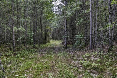 Sale includes two parcels of land totaling 35 acres. HA-385 is - photo 26