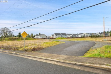 2.4 Acres of Highway Commercial Property - Prime Development - photo 26