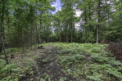 Sale includes two parcels of land totaling 35 acres. HA-385 is - photo 27