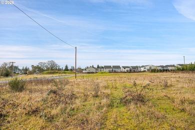 2.4 Acres of Highway Commercial Property - Prime Development - photo 28