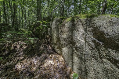 Sale includes two parcels of land totaling 35 acres. HA-385 is - photo 29