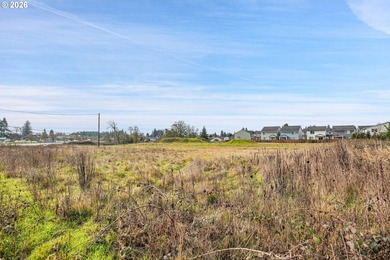 2.4 Acres of Highway Commercial Property - Prime Development - photo 29
