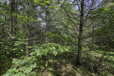 Sale includes two parcels of land totaling 35 acres. HA-385 is - photo 30