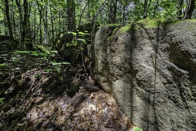 Sale includes two parcels of land totaling 35 acres. HA-385 is - photo 32
