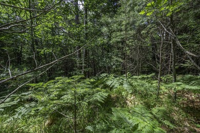 Sale includes two parcels of land totaling 35 acres. HA-385 is - photo 34