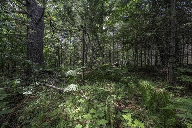 Sale includes two parcels of land totaling 35 acres. HA-385 is - photo 36