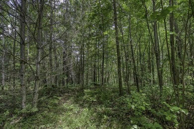 Sale includes two parcels of land totaling 35 acres. HA-385 is - photo 37