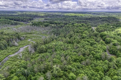 Sale includes two parcels of land totaling 35 acres. HA-385 is - photo 39
