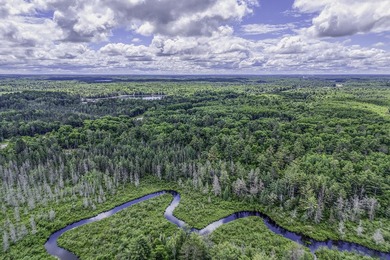 Sale includes two parcels of land totaling 35 acres. HA-385 is - photo 41