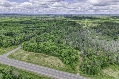 Sale includes two parcels of land totaling 35 acres. HA-385 is - photo 42
