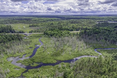Sale includes two parcels of land totaling 35 acres. HA-385 is - photo 46