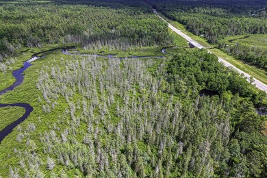 Sale includes two parcels of land totaling 35 acres. HA-385 is - photo 47