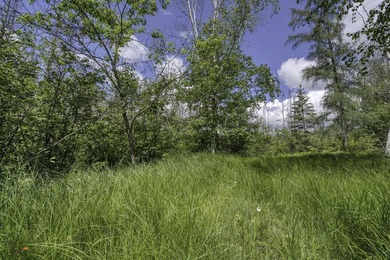 Sale includes two parcels of land totaling 35 acres. HA-385 is - photo 49