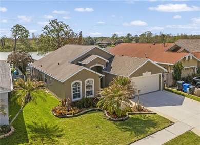 (private lake, pond, coastal) Home For Sale in Brandon Florida