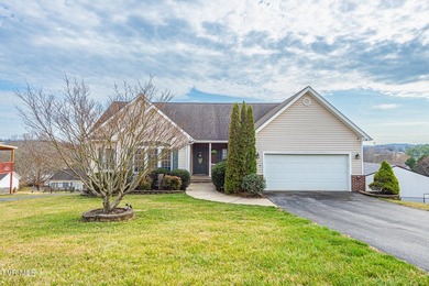 Welcome to 179 Cindy Anne Dr in Gray, TN, a well-maintained - photo 3