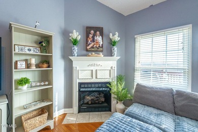 Welcome to 179 Cindy Anne Dr in Gray, TN, a well-maintained - photo 8