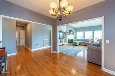 Welcome to 179 Cindy Anne Dr in Gray, TN, a well-maintained - photo 9